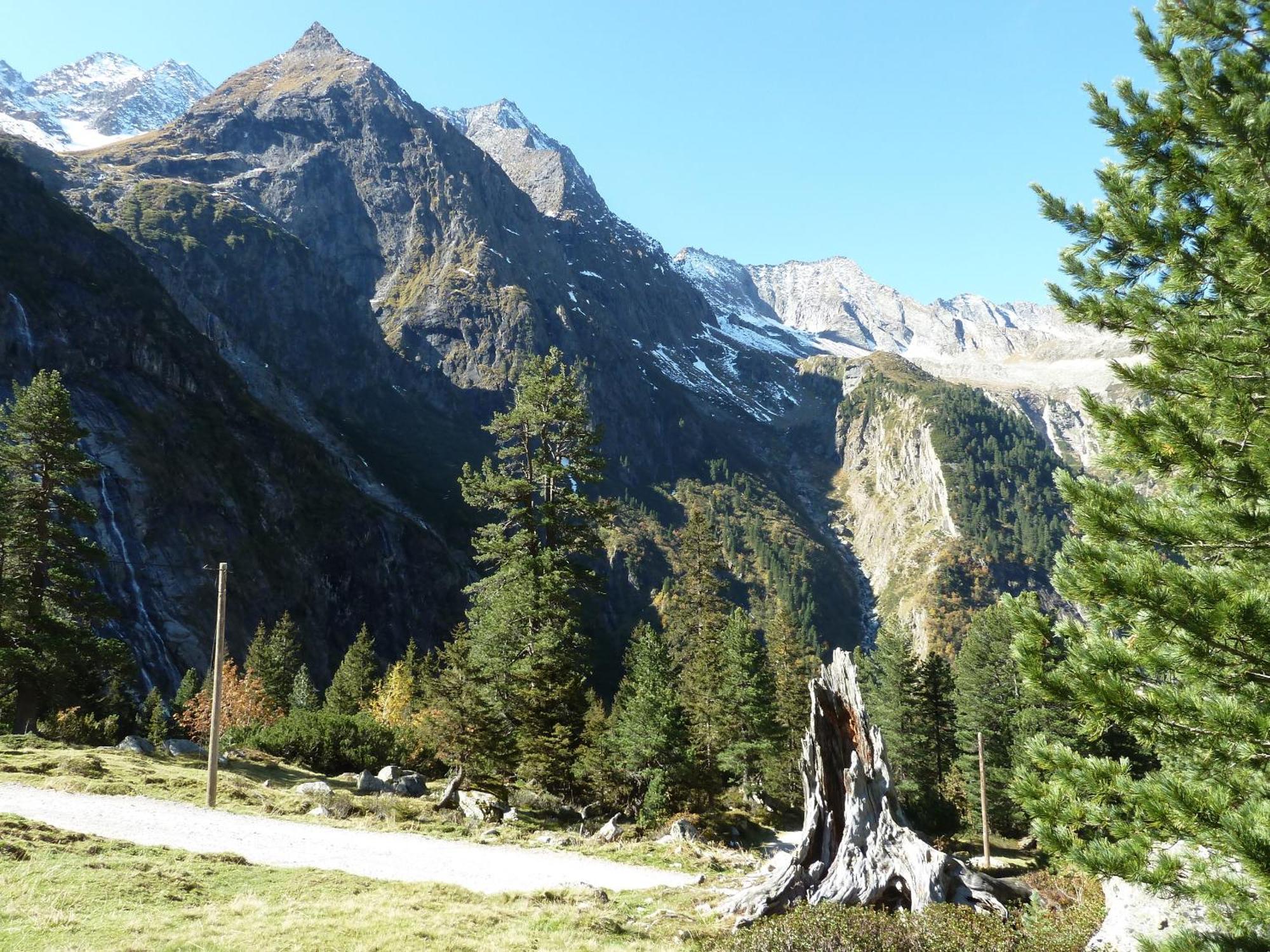 Hotel Gasthaus Schwarzenstein Ginzling Dış mekan fotoğraf
